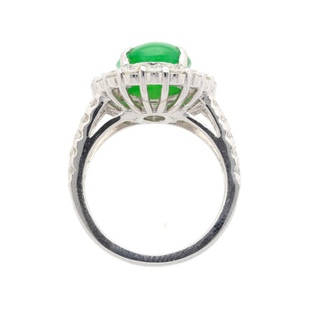 5.32 Carat Type A Jadeite Jade and Diamond Halo Ring in 18K White Gold – Assay Jewelers