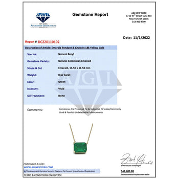 8.67 Carat Vivid Green Colombian Emerald Solitaire 18K Gold Pendant Necklace – Assay Jewelers