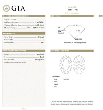 GIA Cert. 4.02 Carat E Color VS2 Clarity Oval Cut Loose Natural Diamond – Assay Jewelers